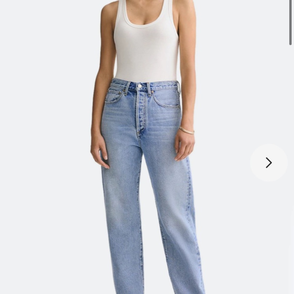 Agolde 90s Mid Rise Loose in Snapshot Size 27
